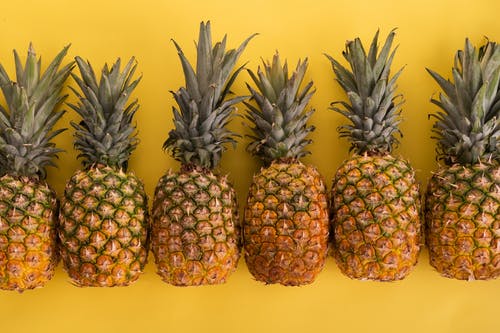9 How to Grow Pineapples to Be Fruitful, Easy to Practice